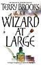 Wizard at Large